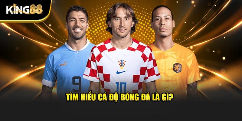 Cá độ bóng đá 2