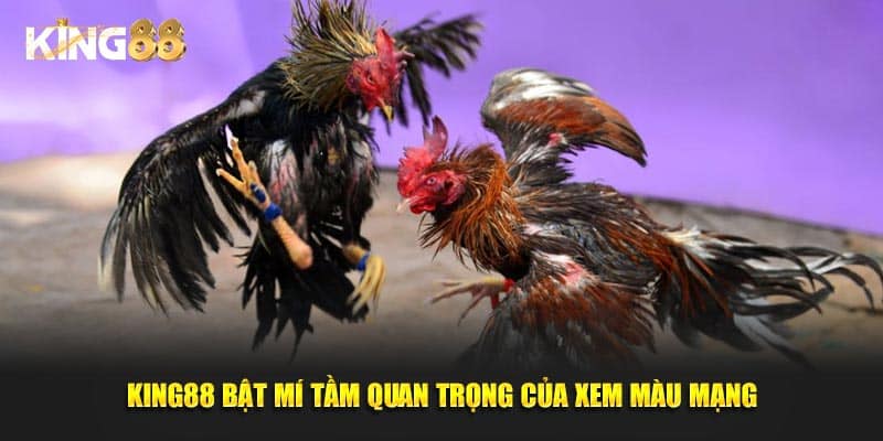 màu mạng gà đá 3