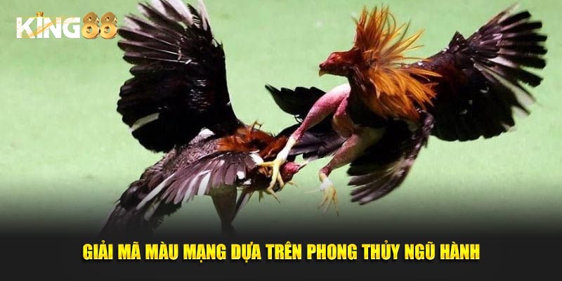 màu mạng gà đá 4