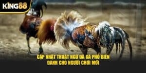 thuật ngữ đá gà 1