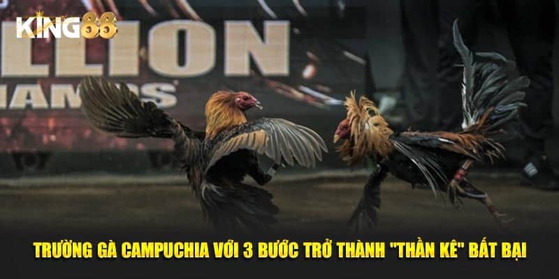 trường gà campuchia 1